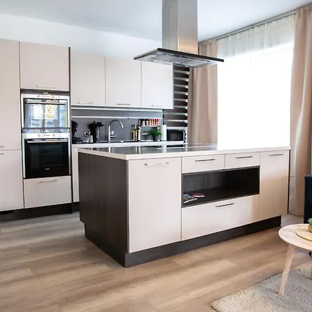 Apartment Base Business And Family, 2bedrooms And Workspace Linz